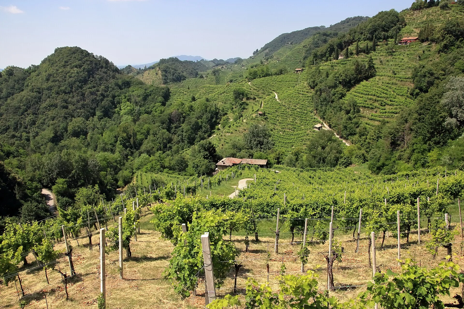 Colline del Prosecco — 3