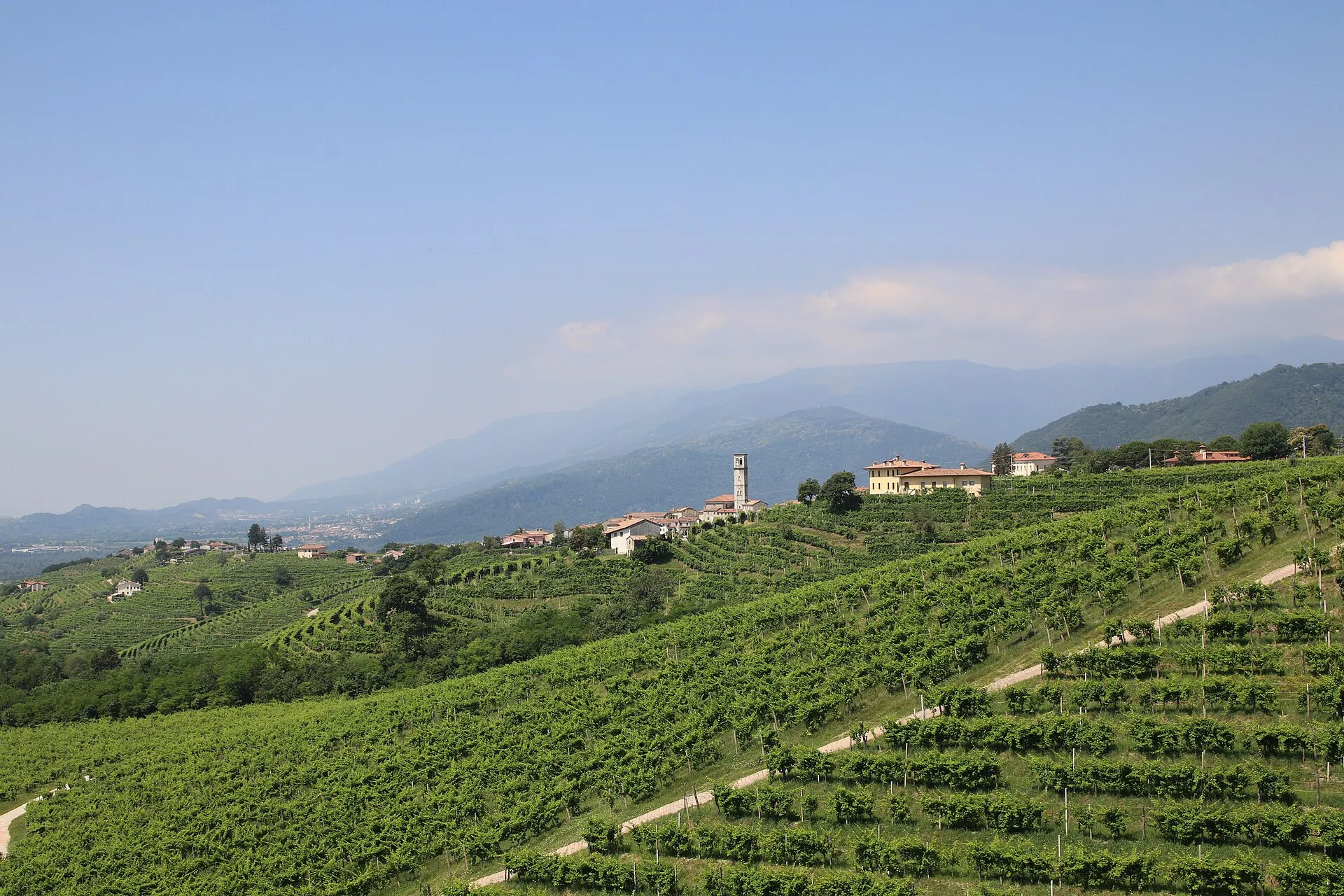 Colline del Prosecco — Colline cucite a mano dove la luce delle Prealpi diventa vino